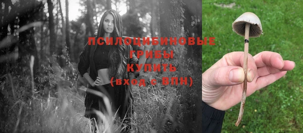 тгк Абинск