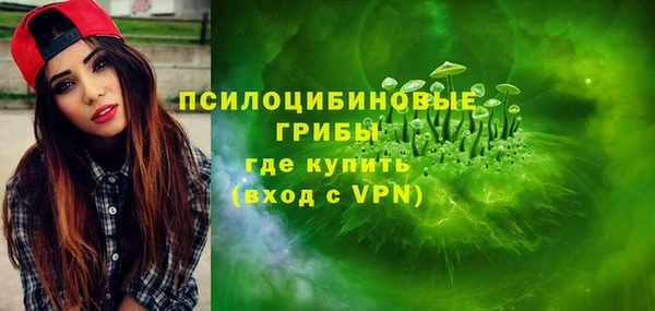 твердый Абаза