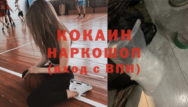 твердый Абаза