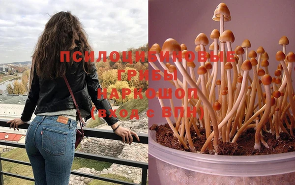 дживик Абдулино