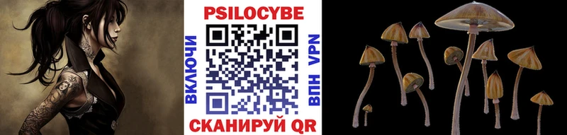 Галлюциногенные грибы MAGIC MUSHROOMS  Прокопьевск 