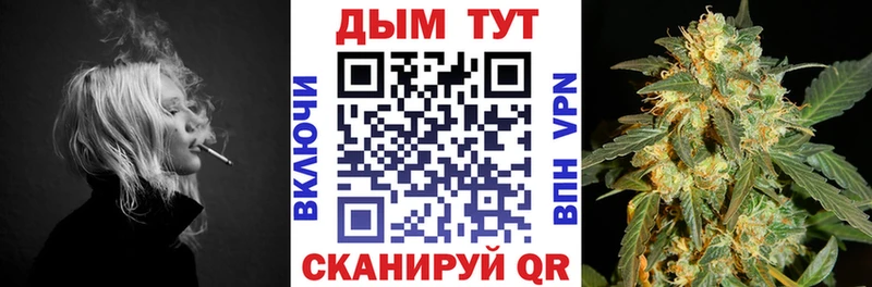 наркота  Прокопьевск  Бошки Шишки конопля 